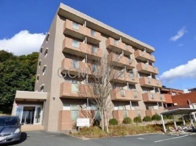 際波フォレストウインズ401